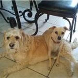 Meet your Posher, Barbara